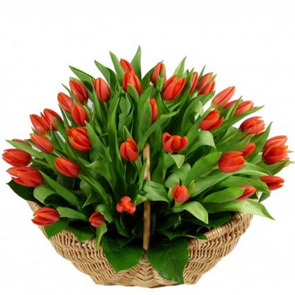 Корзина из 51 красного тюльпана купить в Москве по цене 4990 руб с доставкой - Bella Roza