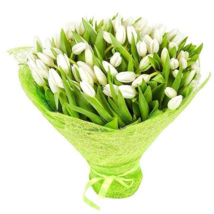 Тюльпаны белые 75 шт купить в Москве по цене 6500 руб с доставкой - Bella Roza
