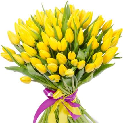 Букет желтых тюльпанов 75 шт купить в Москве по цене 6500 руб с доставкой - Bella Roza