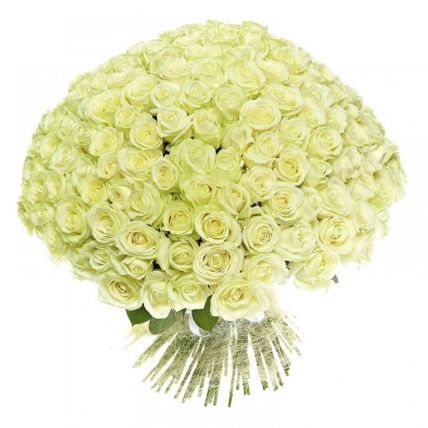 101 белая роза "Аваланш"  70 см купить в Москве по цене 7990 руб с доставкой - Bella Roza