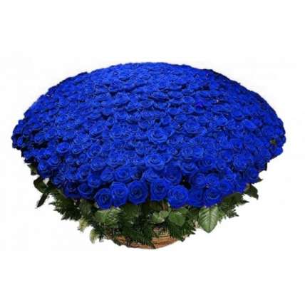 Букет из 1001 натуральной синей розы 70-90 см купить в Москве по цене 150000 руб с доставкой - Bella Roza
