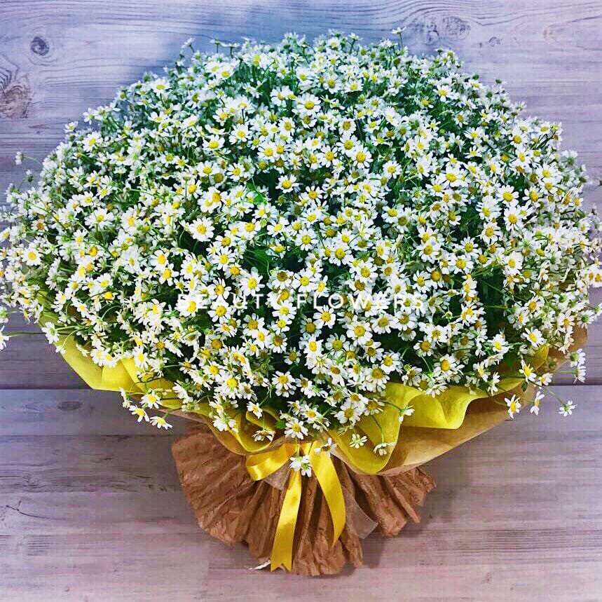 Цветы ромашки цена за штуку москва
