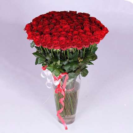 101 гигантская красная  роза 130см купить в Москве по цене 30200 руб с доставкой - Bella Roza