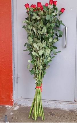 17 гигантских Красных роз 170см купить в Москве по цене 11000 руб с доставкой - Bella Roza