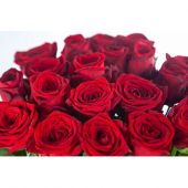 51 красная роза "Ночная быль" 70 см