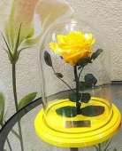 Желтая роза в колбе