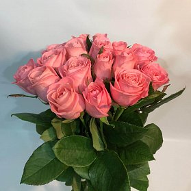 21 розовых роз Анна Карина 100 см купить в Москве по цене 5250 руб с доставкой - Bella Roza