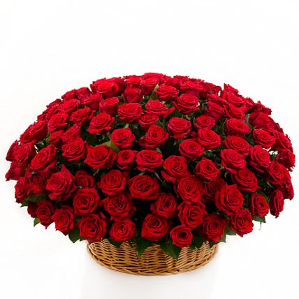 201 красная роза в корзине гран при " Мои чувства" 70 см купить в Москве по цене 14990 руб с доставкой - Bella Roza