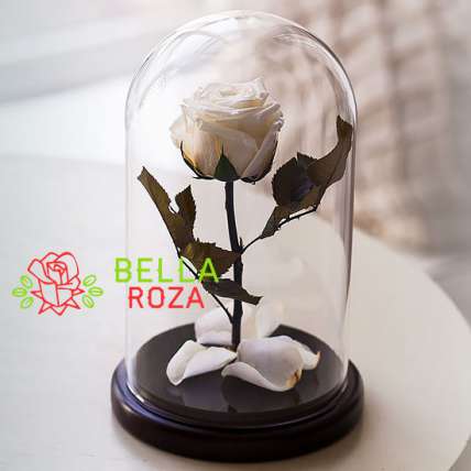 Белая роза в колбе купить в Москве по цене 2190 руб с доставкой - Bella Roza
