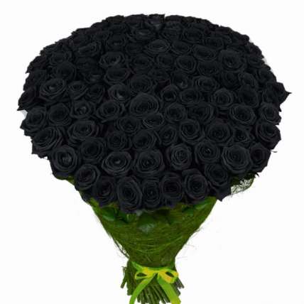 101 натуральная черная роза 70-90 см купить в Москве по цене 20000 руб с доставкой - Bella Roza
