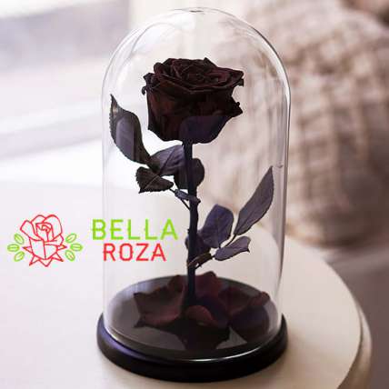 Черная роза в колбе купить в Москве по цене 4500 руб с доставкой - Bella Roza