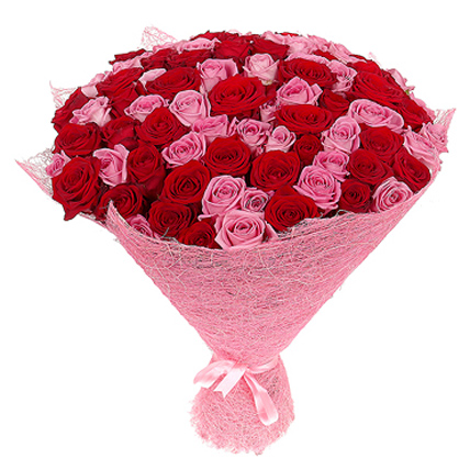 101 красная и розовая роза 70 см купить в Москве по цене 7990 руб с доставкой - Bella Roza