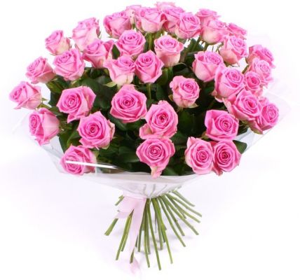 51 розовая роза «Аква» 70см купить в Москве по цене 3990 руб с доставкой - Bella Roza