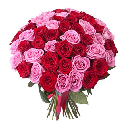 51 роза 70 см купить в Москве по цене 4990 руб с доставкой - Bella Roza