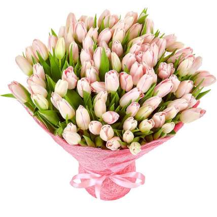 Тюльпаны розовые 75 шт купить в Москве по цене 6500 руб с доставкой - Bella Roza