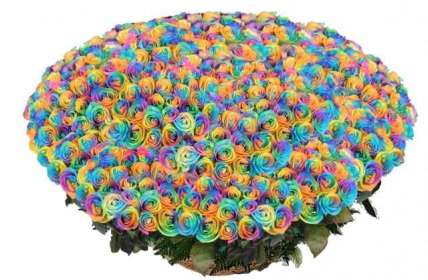 Букет из 1001 радужной розы 70-90 см купить в Москве по цене 149000 руб с доставкой - Bella Roza