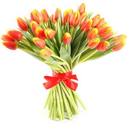 Тюльпаны оранжевые 51 шт  купить в Москве по цене 3190 руб с доставкой - Bella Roza