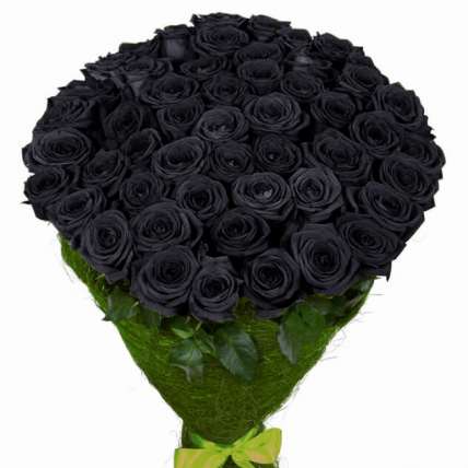 51 натуральная черная роза 70-90 см купить в Москве по цене 9500 руб с доставкой - Bella Roza