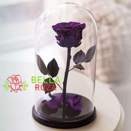Фиолетовая роза в колбе купить в Москве по цене 2190 руб с доставкой - Bella Roza
