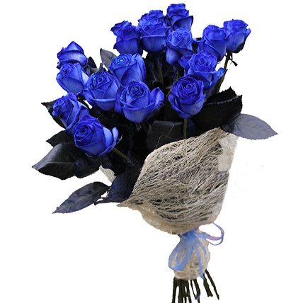 Букет из 25 натуральных синих роз 70-90 см купить в Москве по цене 4500 руб с доставкой - Bella Roza