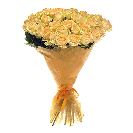 51 кремовая роза Пич Аваланж 70 см купить в Москве по цене 4990 руб с доставкой - Bella Roza