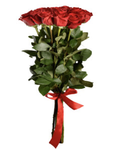 Розы 140 см поштучно (любое количество) купить в Москве по цене 400 руб с доставкой - Bella Roza