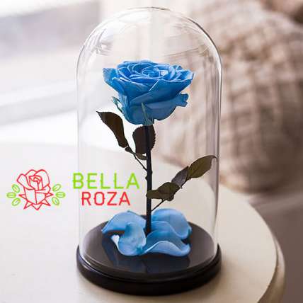 Голубая роза в колбе купить в Москве по цене 2590 руб с доставкой - Bella Roza