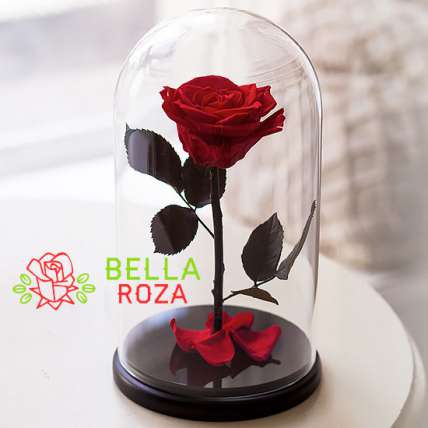 Красная роза в колбе купить в Москве по цене 2490 руб с доставкой - Bella Roza