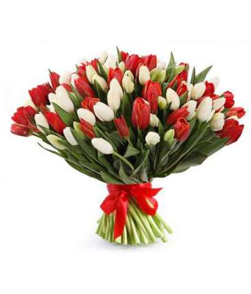 Тюльпаны красные и белые 101 шт купить в Москве по цене 7999 руб с доставкой - Bella Roza