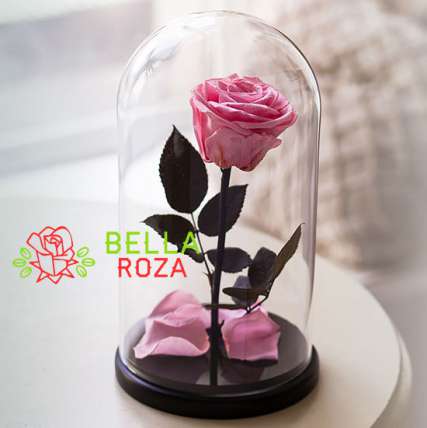 Нежно-розовая роза в колбе купить в Москве по цене 2190 руб с доставкой - Bella Roza