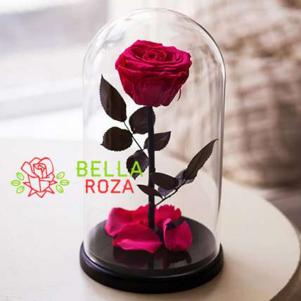 Пурпурная роза в колбе купить в Москве по цене 2190 руб с доставкой - Bella Roza
