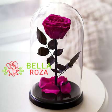 Розовая роза в колбе купить в Москве по цене 2190 руб с доставкой - Bella Roza