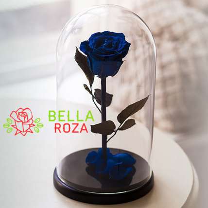 Синяя роза в колбе купить в Москве по цене 4500 руб с доставкой - Bella Roza