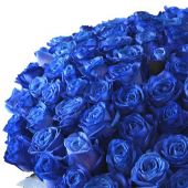 Букет из 101 синей розы