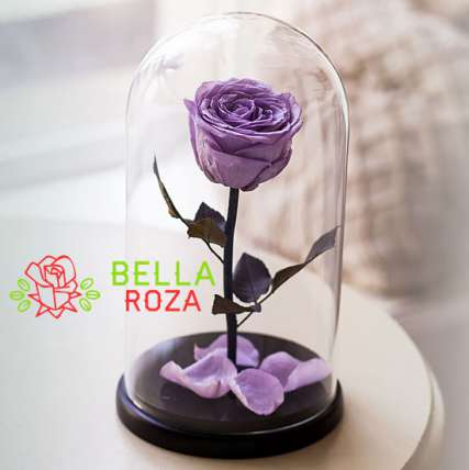 Сиреневая роза в колбе купить в Москве по цене 2190 руб с доставкой - Bella Roza