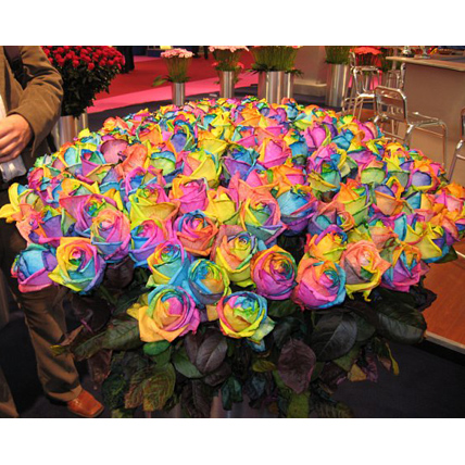 Букет из 151 радужной розы 70-90 см купить в Москве по цене 20000 руб с доставкой - Bella Roza