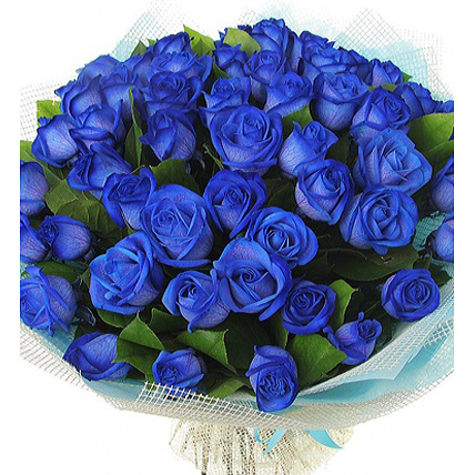 Букет из 51 натуральной синей розы  "Скай" 70-90 см купить в Москве по цене 9180 руб с доставкой - Bella Roza