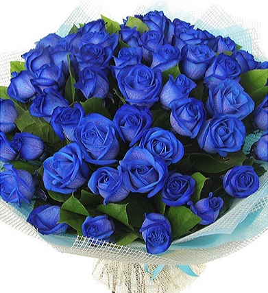 Букет из 51 натуральной синей розы "Синька" 70-90 см купить в Москве по цене 9100 руб с доставкой - Bella Roza