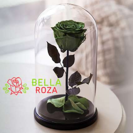 Зеленая роза в колбе купить в Москве по цене 2190 руб с доставкой - Bella Roza
