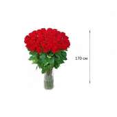 21 гигантская Красная роза 170см