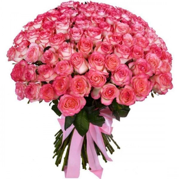 17 гигантских роз Джумилия (100 см).jpg