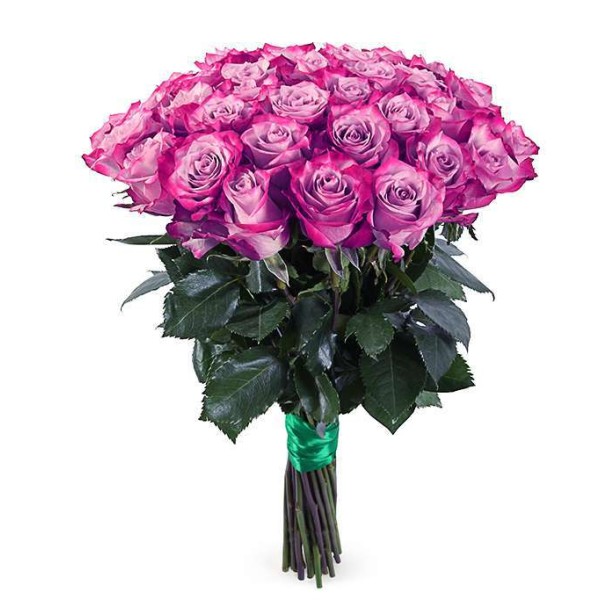 Букет из 51 розы сорта Дип Перпл 80 см