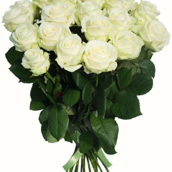 Белые метровые розы (100см)