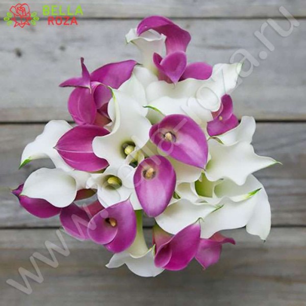 Calla-Pink-and-White-Bouquet.jpg
