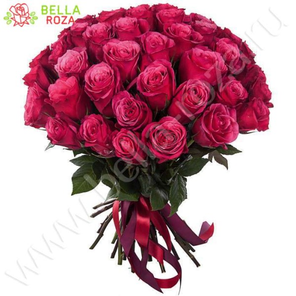 Букет из 51 розы сорта Чери Оу - Cherry-Oh 80 см