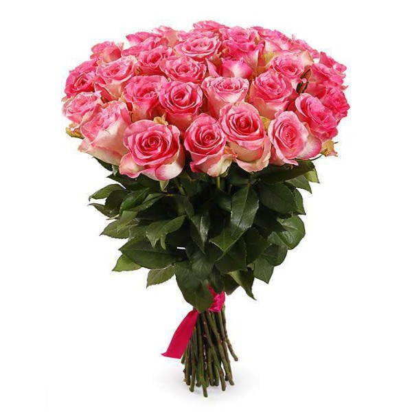 Букет из 25 роз сорта Малибу 80 см
