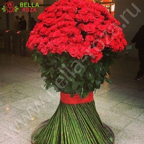 201 гигантская Красная роза 170 см