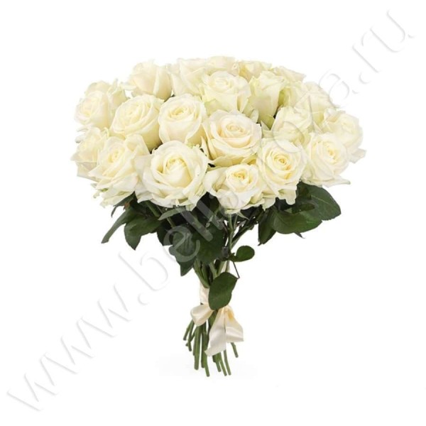 21 белая роза 90 см.jpg